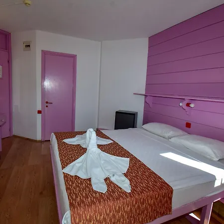 Siesta 2* 伊丘美勒
